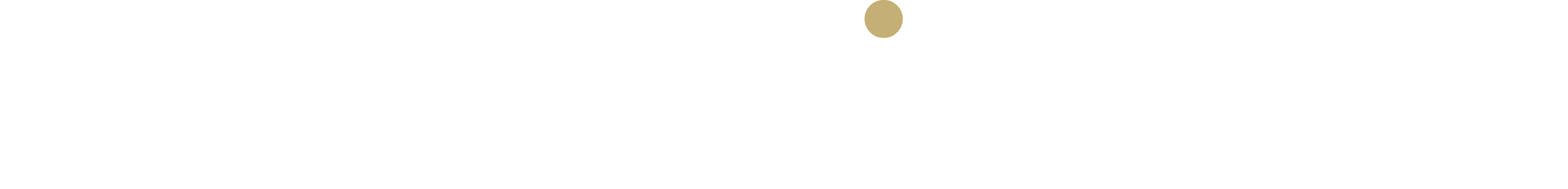 Interpoint logo