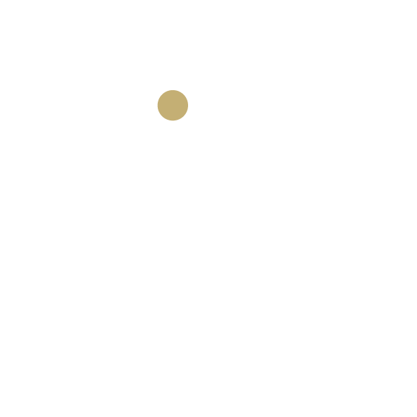 Interpoint logo
